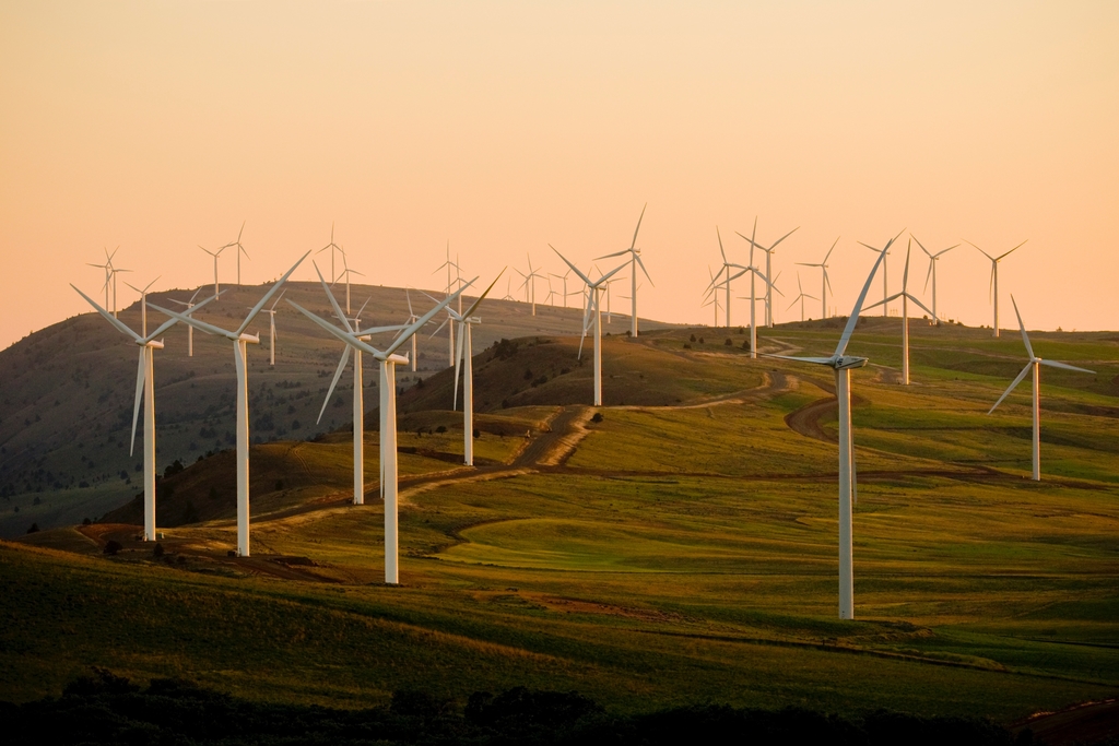 Rising Concerns Over the UK’s Energy Future A Call for Sustainable Solutions