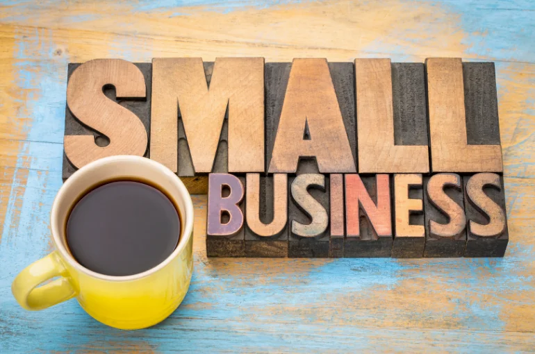 The Landscape of Small Business Success in the USA